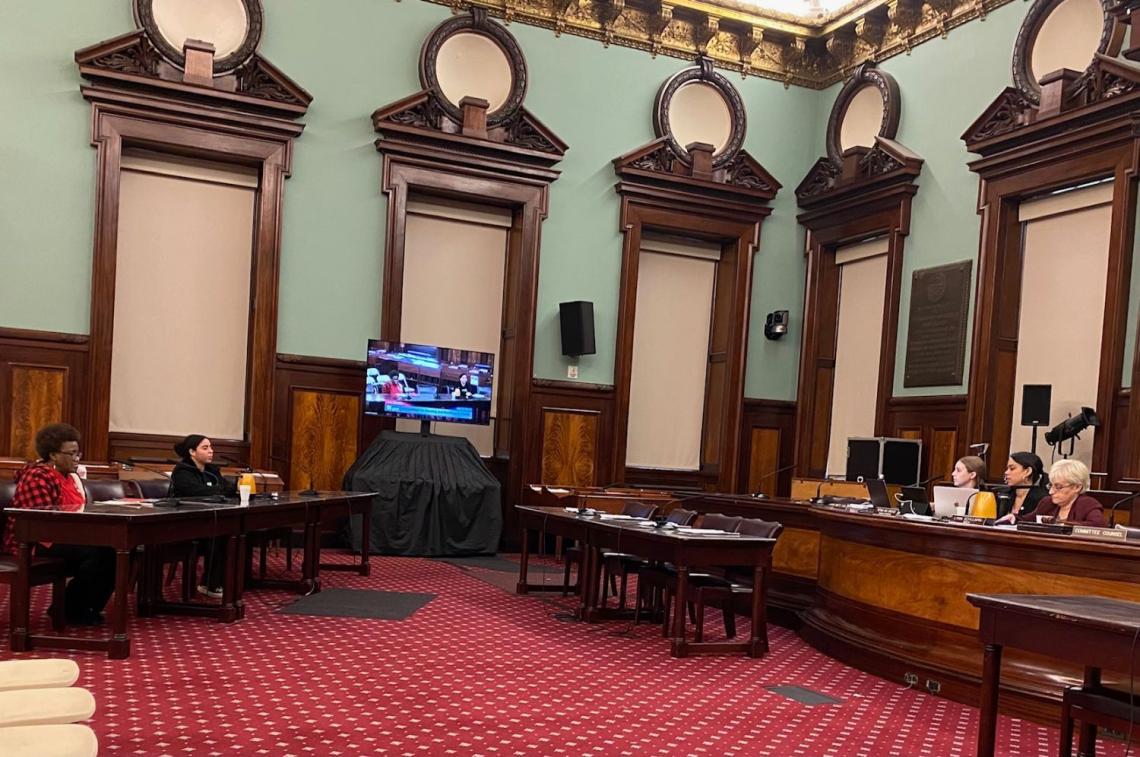 NYSNA Leader Marion Parkins Sit testifies in New York City Hall