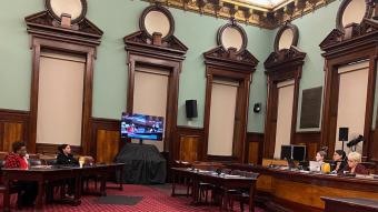 NYSNA Leader Marion Parkins Sit testifies in New York City Hall