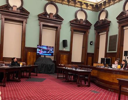 NYSNA Leader Marion Parkins Sit testifies in New York City Hall